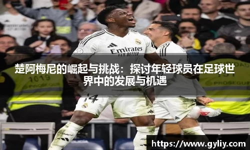 球王会体育
