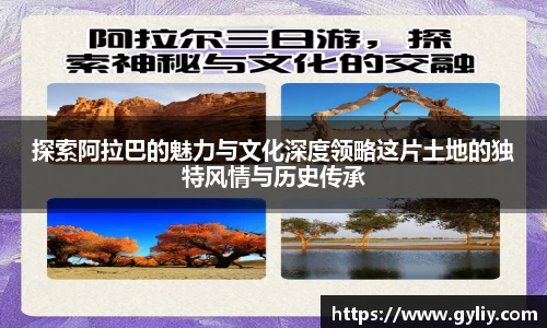 球王会体育