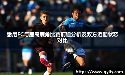 球王会体育APP