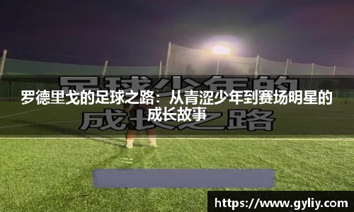 球王会体育官网