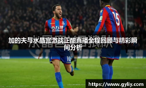 球王会体育APP