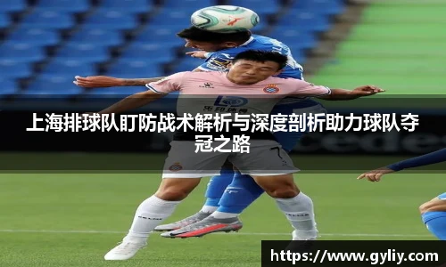 上海排球队盯防战术解析与深度剖析助力球队夺冠之路